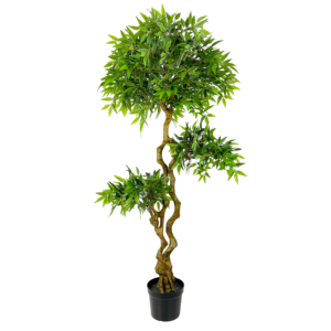 Ficus French Tree, Green, 6.5ft (UV)
