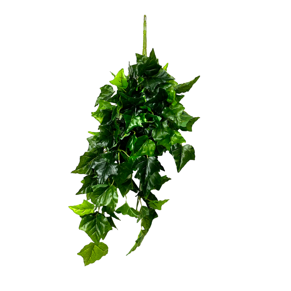 Ivy English Vine Hanging, Green, 34in (UV)