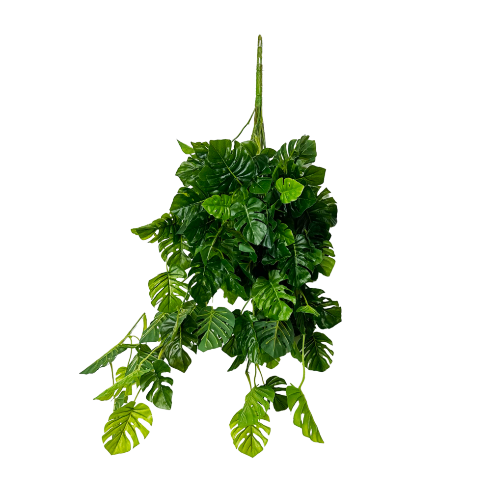 Philo Split Leaf Vine Hanging, Green, 34in (UV)