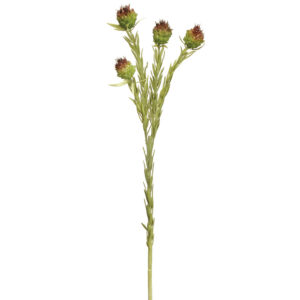 Allium Greenery Stem, Light Brown, 22in