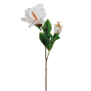 Hibiscus Flower Spray, White Two-Tone, 26in