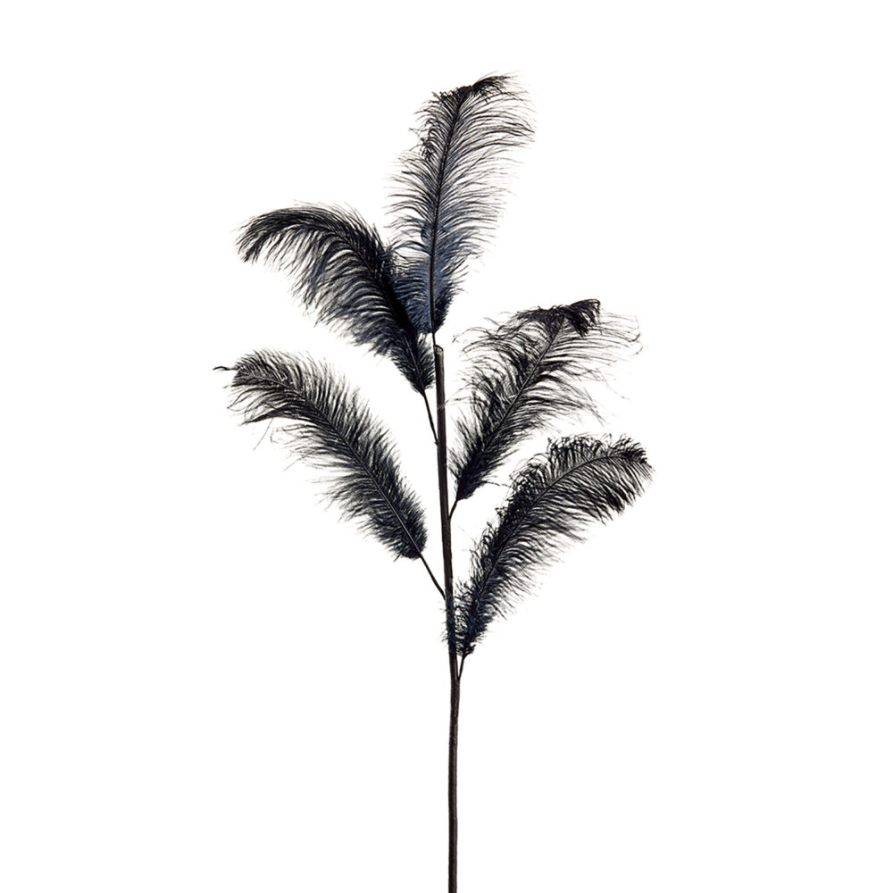 Feather Pick, Black, 48in