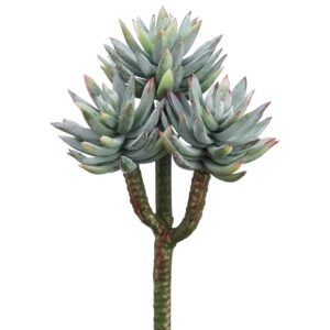 Agave Pick, Green Dusty, 8in