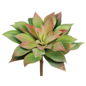 Echeveria Succulent Stem, Green, 6.5in