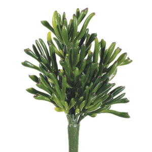 Coral Succulent Stem, Green, 9in