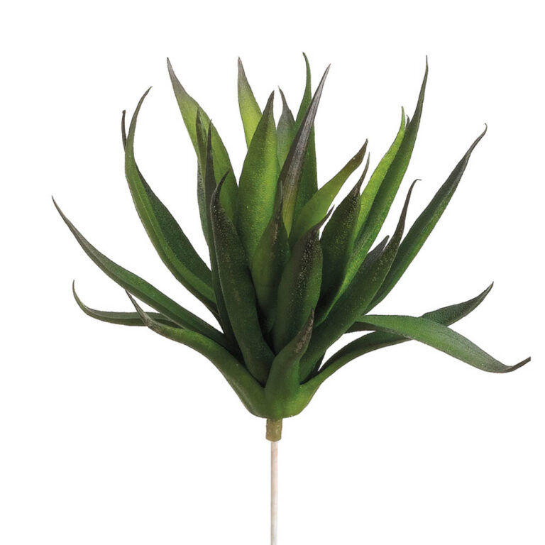Echeveria Pick, Green, 7in
