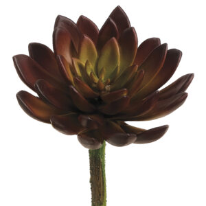 Echeveria Succulent Stem, Burgundy, 9in