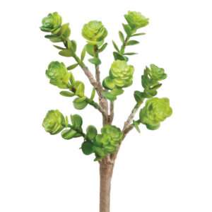 Sedum Succulent Stem, Green, 8.5in