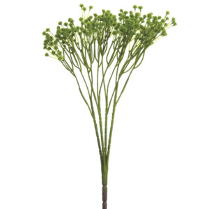 Gypsophila Bush, Green, 15in