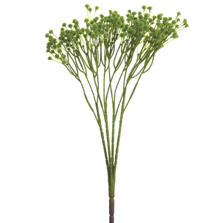 Gypsophila Bush, Green, 15in