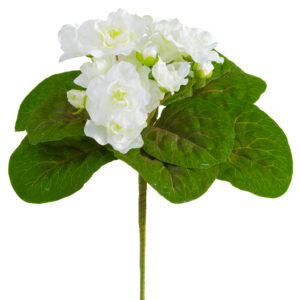 African Violet Stem, White, 8in