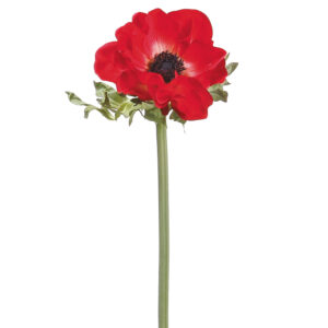 Anemone Flower Stem, Red,17in