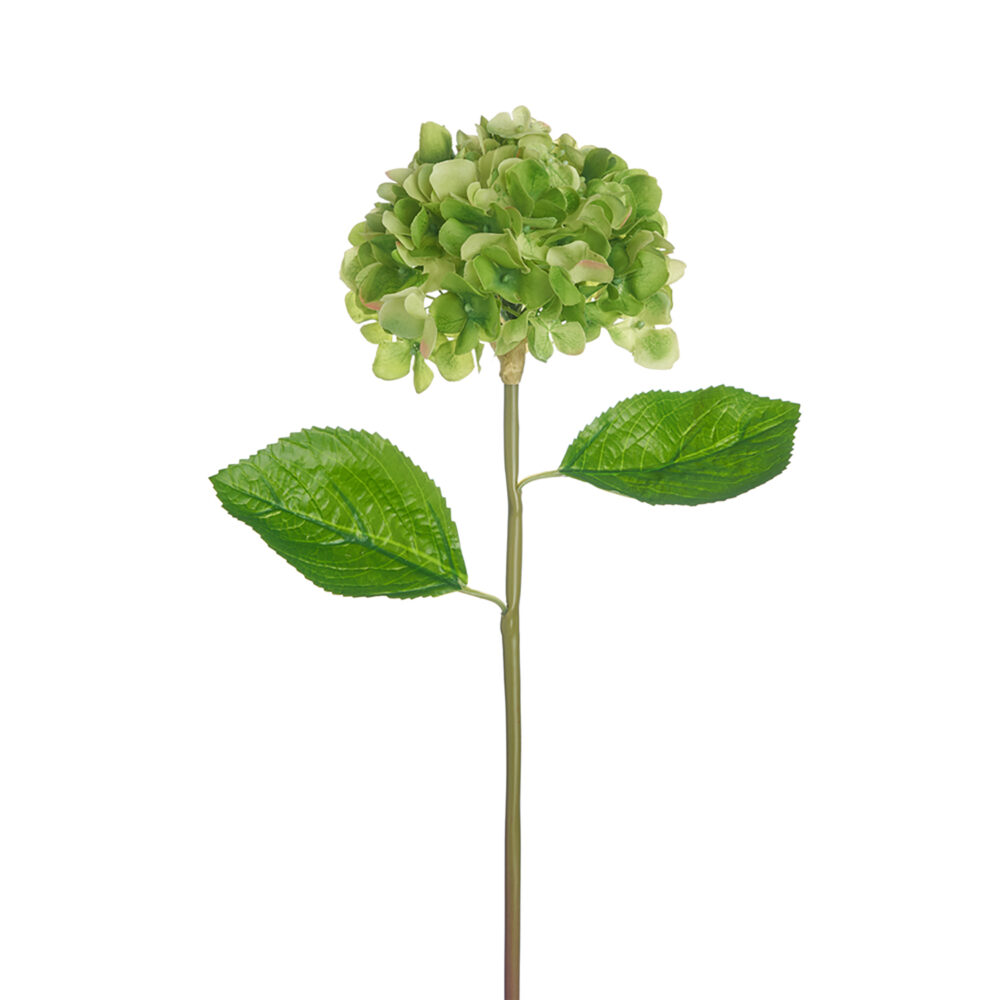 Hydrangea Flower Spray, Green, 21.5in