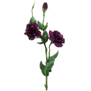Lisianthus Flower Spray, Purple, 25in