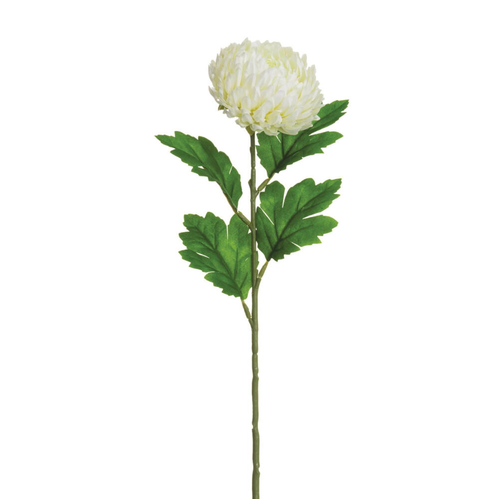 Chrysanthemum (mums) Flower Stem, White, 23in