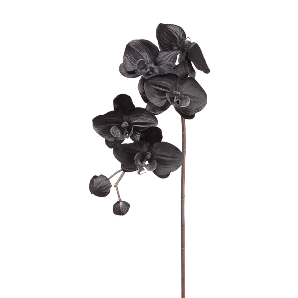 Orchid Flower, Black, 29in