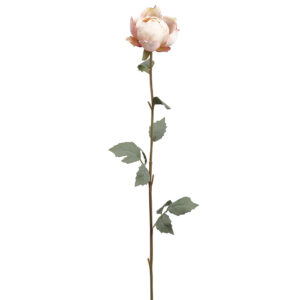 Peony Bud, Pink, 32in
