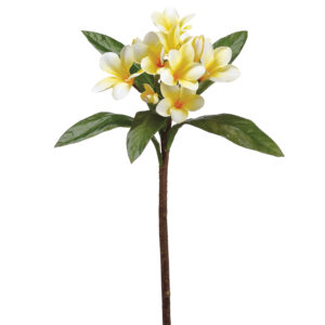 Plumeria Flower Spray, Yellow Two-Tone, 22in