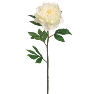 Peony Spray, Cream, 27in