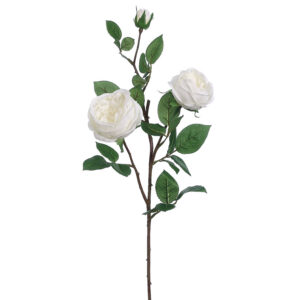 Cabbage Rose Spray, White, 29in