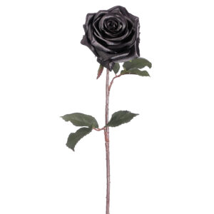 Rose, Black, 21.5in