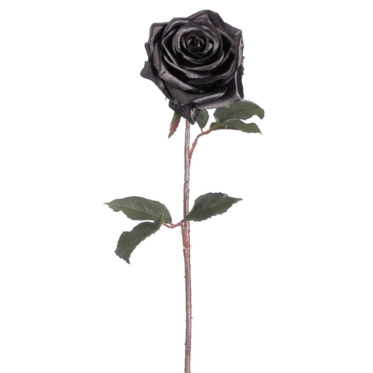 Rose, Black, 21.5in