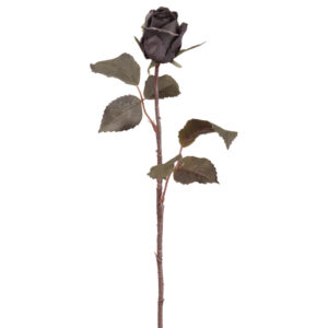 Cottage Rose, 21.5in
