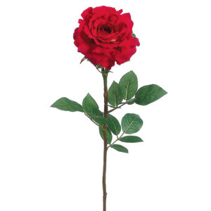 Full Bloom Georgia Rose Stem, Red,32in