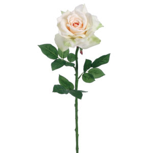 Full Bloom Diana Rose Stem, White w/ Pink, 26in