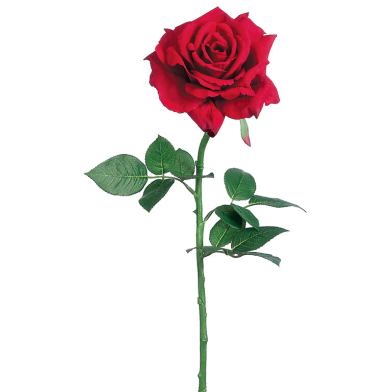 Full Bloom Diana Rose Stem, Red, 26in
