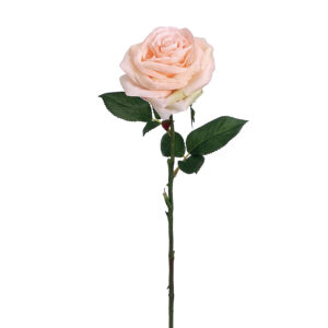 Full Bloom Rose Stem, Pink, 24in