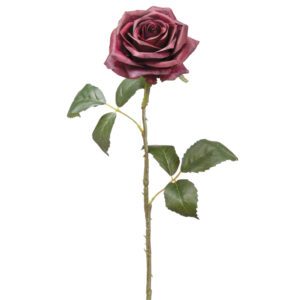 Rose Stem, Eggplant, 21.5in