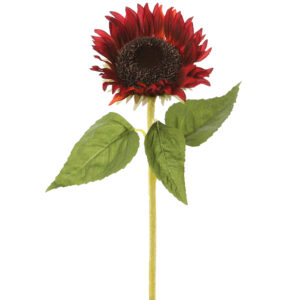 Sunflower, Red, 24.5in