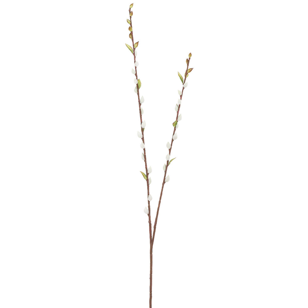 Pussy Willow Spray, 36in