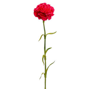 Carnation Stem, Red, 21.5in