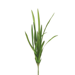 Orchid Foliage Stem, Green, 16in