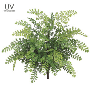 Maidenhair Fern Bush, 19in