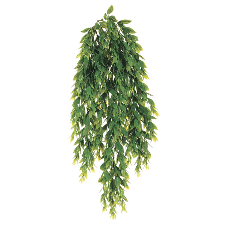 Flaming Grass Hanging Bush, 25.5in