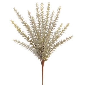 Rosemary Bush, Green/Grey, 13in