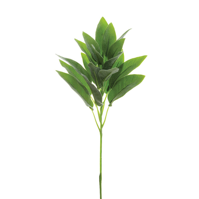 Sage, Green/Grey, 12in