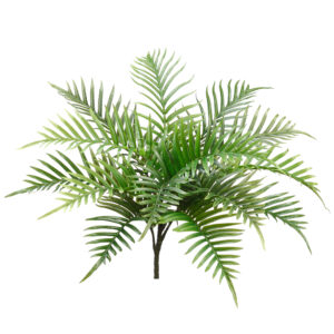 Palm Areca Bush, 26in RT