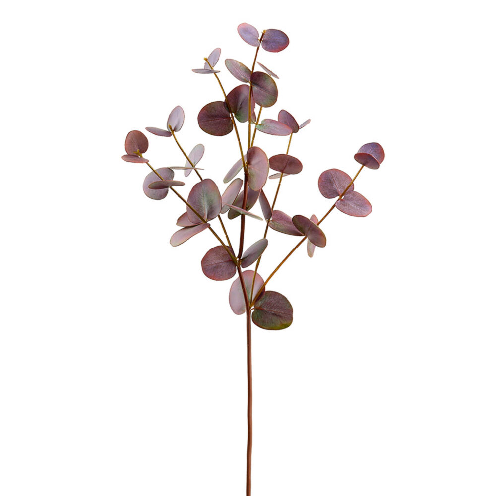Eucalyptus Stem, Burgundy, 29in