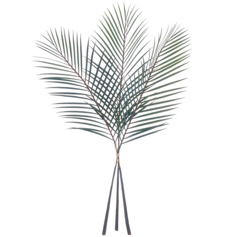 Palm Leaf Bundle, Green, 40in