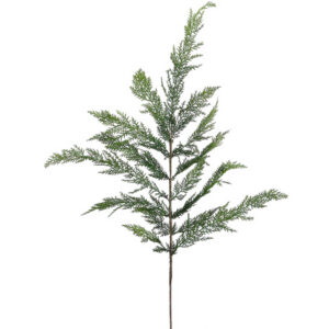 Pine Cedar Spray, 40in