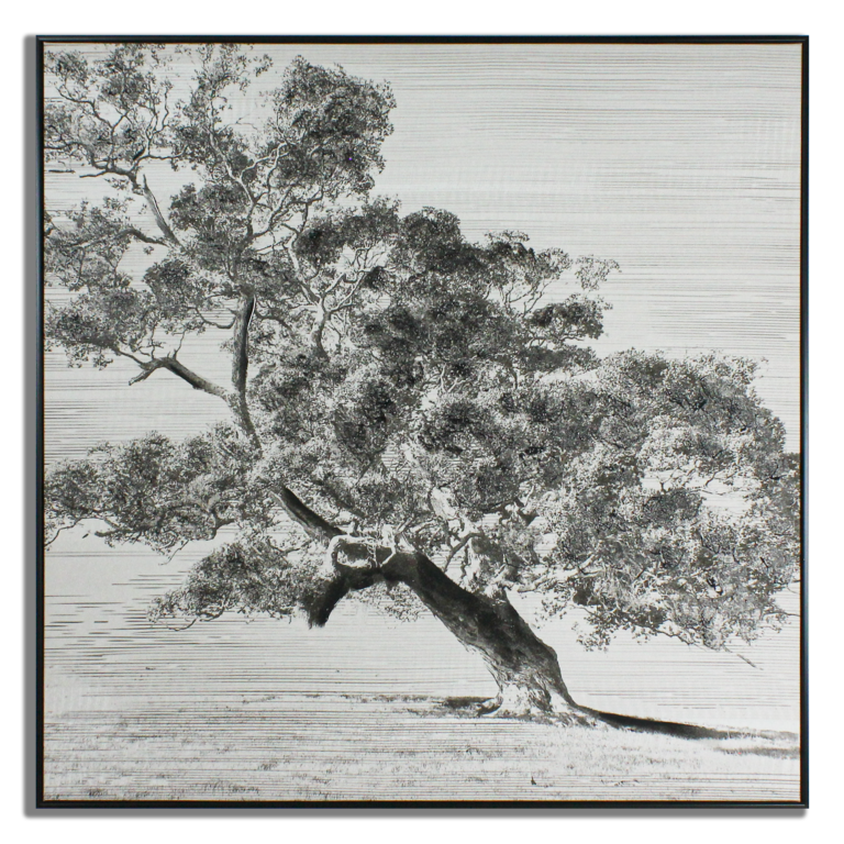 Create Wall Art (40in x 40in)