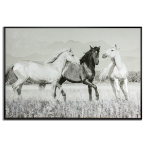 Roam Wall Art (48in x 32in)