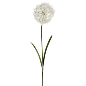 Dandelion Spray, Cream, 40in