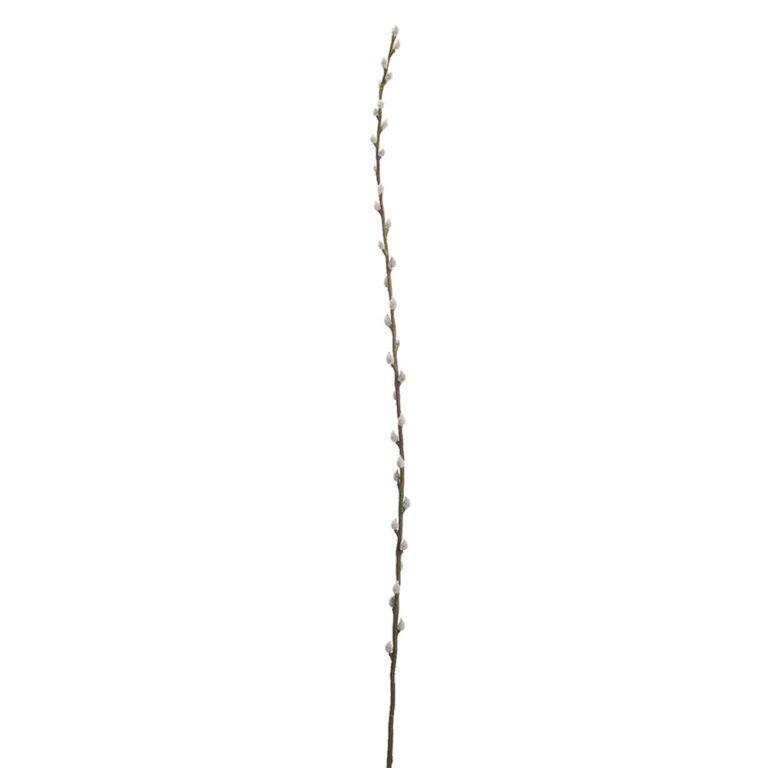 Pussy Willow, Grey, 46in