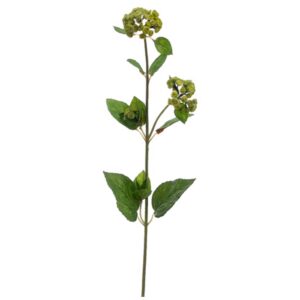 Meadow Flower, Green, 27in