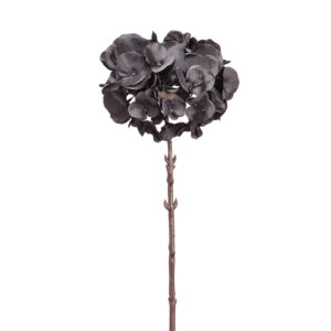 Hydrangea, Black, 18in